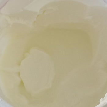 Mis Yoğurtta Sorun Olması