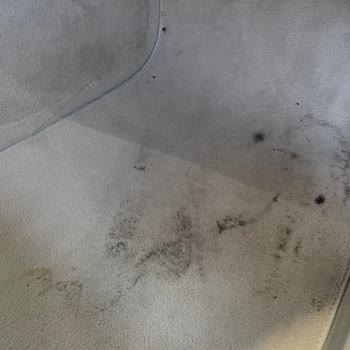 Serviste Aracım Hem Kirletildi Hem De Teknik Sorun Giderilmedi