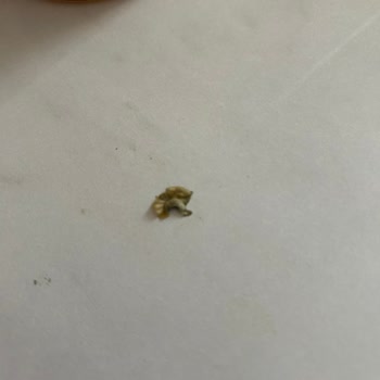 Portakal Suyunda Çıkan Yabancı Madde Çocuklarımıza Güvenerek İçiriyorduk