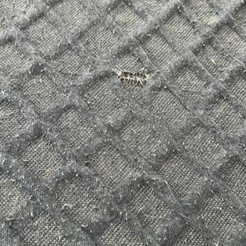 Yeni Alınan Bosch Çamaşır Makinesi Sürekli Çamaşırları Yırtıyor, Sorun Çözülemiyor