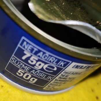 Ton Balığı Tüketimi Sonrası Sağlık Endişesi Ve Ürün Kalitesizliği