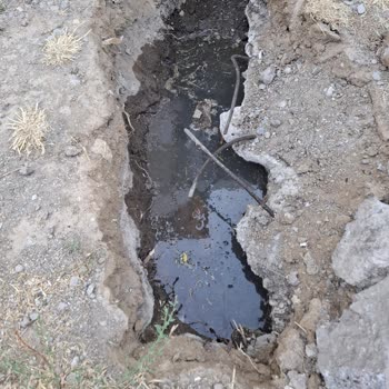 Türkiye Sigorta Hasar Ödemelerini Aylardır Yapmıyor Mağduriyetim Artıyor