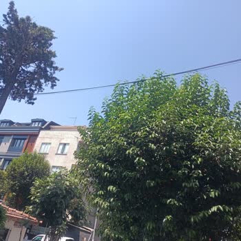 İzinsiz Fiber Kablolama Nedeniyle Rahatsızlık