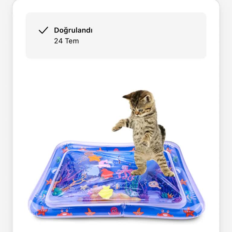 Zentyies Ürün Gönderilmedi, Ücret İadesi Yapılmıyor!