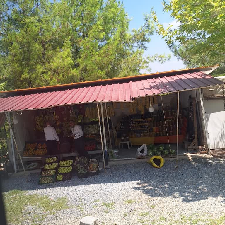 Muavinin Kaba Davranışı Ve Bilgilendirme Eksikliği Yolculuğumu Olumsuz Etkiledi