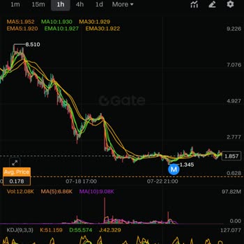I Can’t See My LTC5S Coin Balance or Profits on Gate.io Wallet After Price Surge