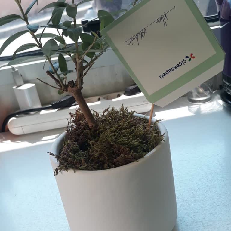 Siparişim Yanlış Saatte Ve Onaysız Teslim Edildi, Mağduriyetim Acil Giderilsin