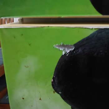 Yıldız Evden Eve Nakliyat İle Taşınma Sürecinde Yaşanan Hasarlar Ve İlgisizlik