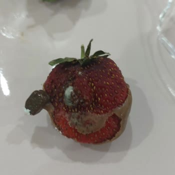 Küflü Pasta Ve İletişim Sorunu: Akca Pastanesi Kepenek Şubesi Hayal Kırıklığı