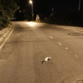 Kuleli Caddesi'nde Yaya Geçidi Ve Kasis Eksikliği Can Güvenliğimizi Tehdit Ediyor