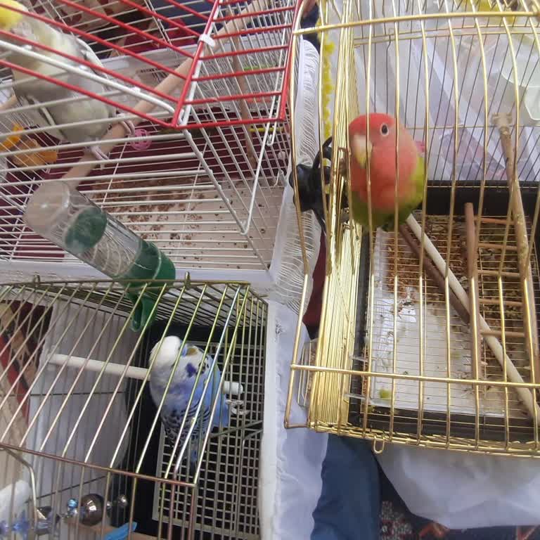 Kart Teslimatı Ve Aidat İadesinde Yaşanan İletişim Sorunları Mağduriyet Yarattı