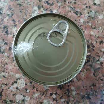 Ton Balığında Bozulma Ve Sağlık Riski Nedeniyle Mağduriyet Yaşadım