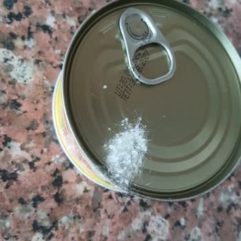 Ton Balığında Bozulma Ve Sağlık Riski Nedeniyle Mağduriyet Yaşadım