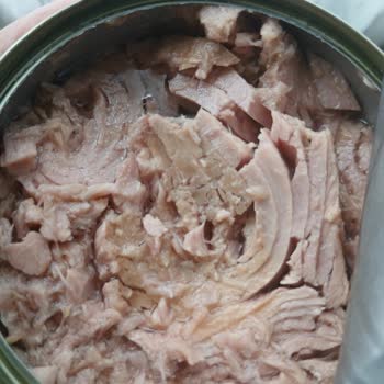 Ton Balığında Bozulma Ve Sağlık Riski Nedeniyle Mağduriyet Yaşadım