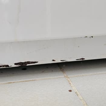 Vestel Ocaklı Fırında Boya Kalkması Ve Paslanma Sorunu Yaşadım