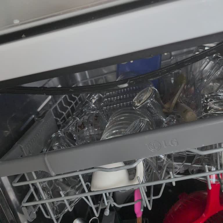 LG Bulaşık Makinesi Servis Hizmetinde Yaşanan Gecikme Ve Mağduriyet