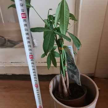 Sipariş Edilen Ürün Fotoğraftan Farklı Ve İade Talebim Reddedildi