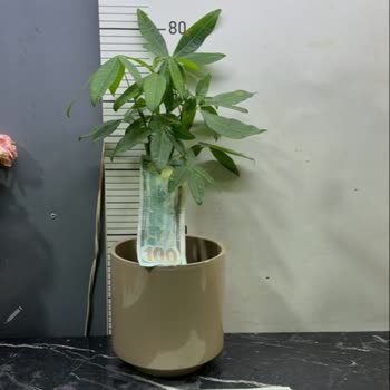 Sipariş Edilen Ürün Fotoğraftan Farklı Ve İade Talebim Reddedildi