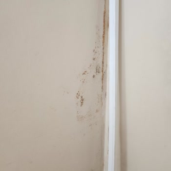 Klimadan Kaynaklanan Kötü Koku Ve Küf Sorununa Çözüm Bulunmuyor, Mağduriyetim Giderilmiyor