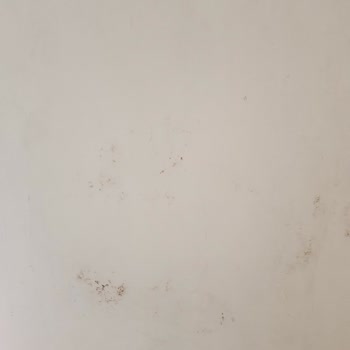 Klimadan Kaynaklanan Kötü Koku Ve Küf Sorununa Çözüm Bulunmuyor, Mağduriyetim Giderilmiyor