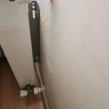 Klimadan Kaynaklanan Kötü Koku Ve Küf Sorununa Çözüm Bulunmuyor, Mağduriyetim Giderilmiyor