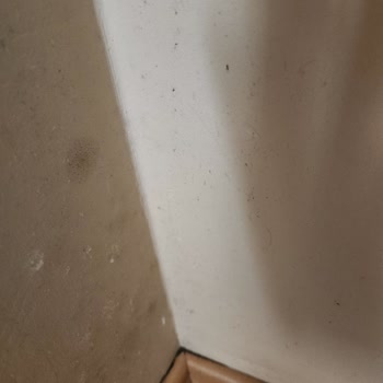 Klimadan Kaynaklanan Kötü Koku Ve Küf Sorununa Çözüm Bulunmuyor, Mağduriyetim Giderilmiyor