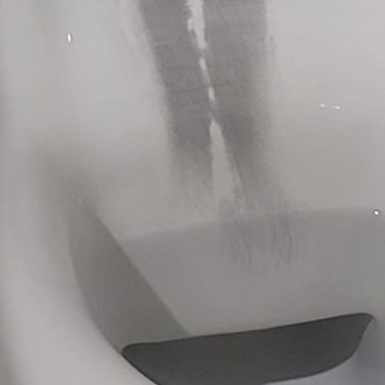 Vitra Tuvalet Taşında Garanti Kapsamında Grileşme Sorunu Ve Servis Süreci