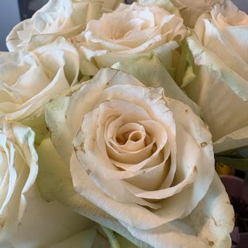 Özel Gün İçin Gönderilen Çiçekler Solgun Ve Özensiz Teslim Edildi