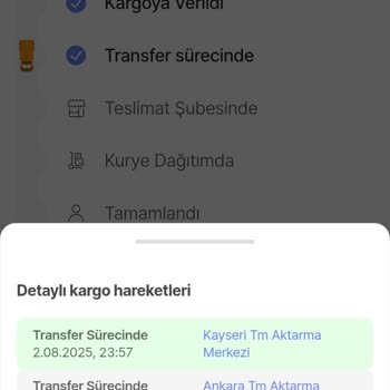 Kedi Maması Kargoda Bekletildi, Teslimat Gecikti