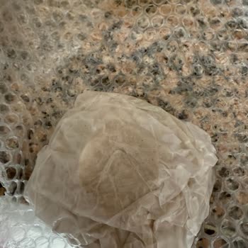 Yanlış Kargo Ve İade Sorunu: Hem Ürünüm Hem Param Gitti!