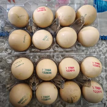 Yumurta Paketinde Farklı Kodlar Endişeye Neden Oldu