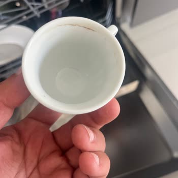 Yeni Alınan Bulaşık Makinesi Kirli Yıkıyor, Servis Desteği Sağlanmıyor