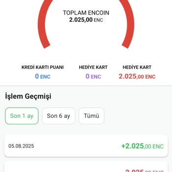 Bilet İptalinde Para İadesi Yerine Encoin Yüklenmesi Mağduriyeti