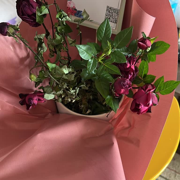 Siparişimde Kurumuş Ve Solmuş Çiçekler Teslim Edildi