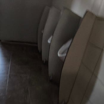 Fethiye Otogarı Tuvaletinde Hijyen Sorunu Ve Fahiş Ücret Şikayeti