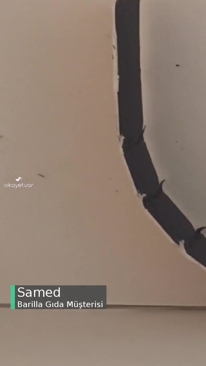 Barilla Makarnadan Canlı Böcek Çıktı videonun kapak resmi