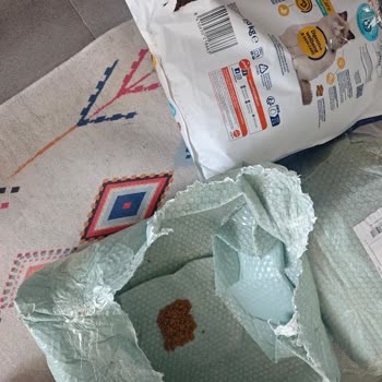 Patlak Gelen Kedi Maması İçin Petpal'dan Çözüm Alamadım, Mağduriyetim Sürüyor