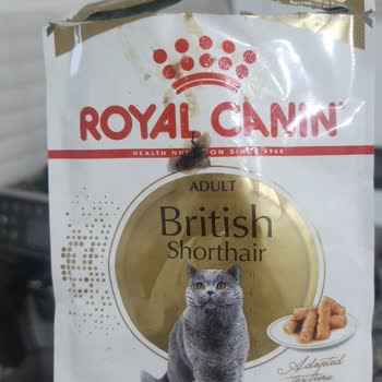 Satın Aldığım Yaş Mamanın İçinden Böcek Çıktı, Açıklama Bekliyorum