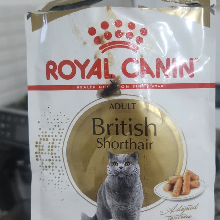 Satın Aldığım Yaş Mamanın İçinden Böcek Çıktı, Açıklama Bekliyorum