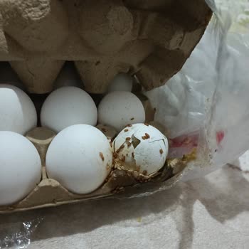 BİM'den Aldığım Yumurtalarda Kurtlanma Ve Kötü Koku Şoku!