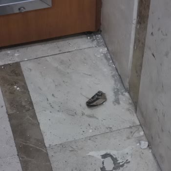 TurkNet Çalışmasında Gürültü Ve Temizlik Sorunu Yaşadık