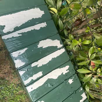 Polisan X1 ALL Boya Dış Mekanda 1 Günde Kabardı Ve Yüzeyden Çıktı