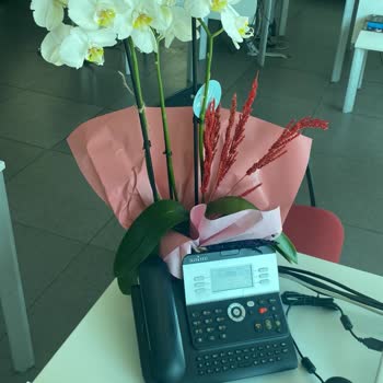 Solmuş Orkide Gönderimi Ve Müşteri Şikayetinin Dikkate Alınmaması