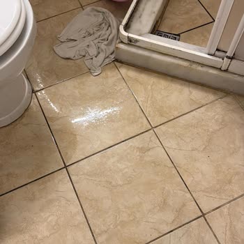 Phoenix Sun Hotelde Karınca Ve Temizlik Sorunlarıyla İlgisiz Personel