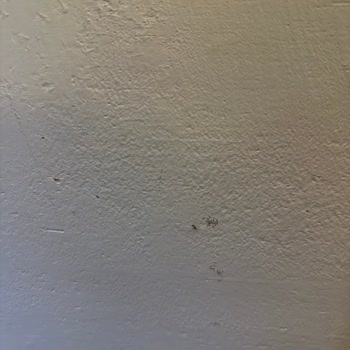 Phoenix Sun Hotelde Karınca Ve Temizlik Sorunlarıyla İlgisiz Personel