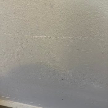 Phoenix Sun Hotelde Karınca Ve Temizlik Sorunlarıyla İlgisiz Personel