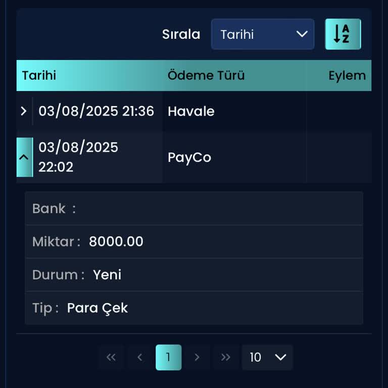 Palaswin'de Kazancım Ödenmedi, Müşteri Hizmetlerine Ulaşamıyorum