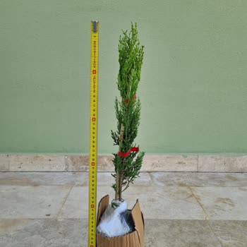 Yanlış Ürün Gönderimi Ve İade Sürecindeki Müşteri Mağduriyeti