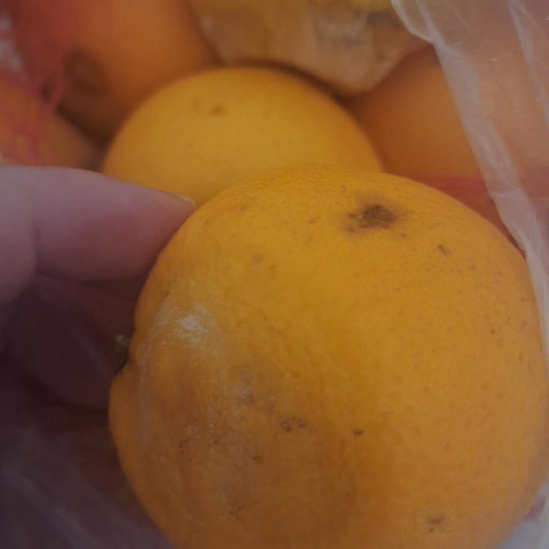 Migros Hemen'den Gelen Bozuk Ürünler Ve İade Sorunu