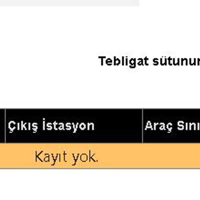 HGS Geçiş İhlali Sorgulama Sorunu Ve Mağduriyet
